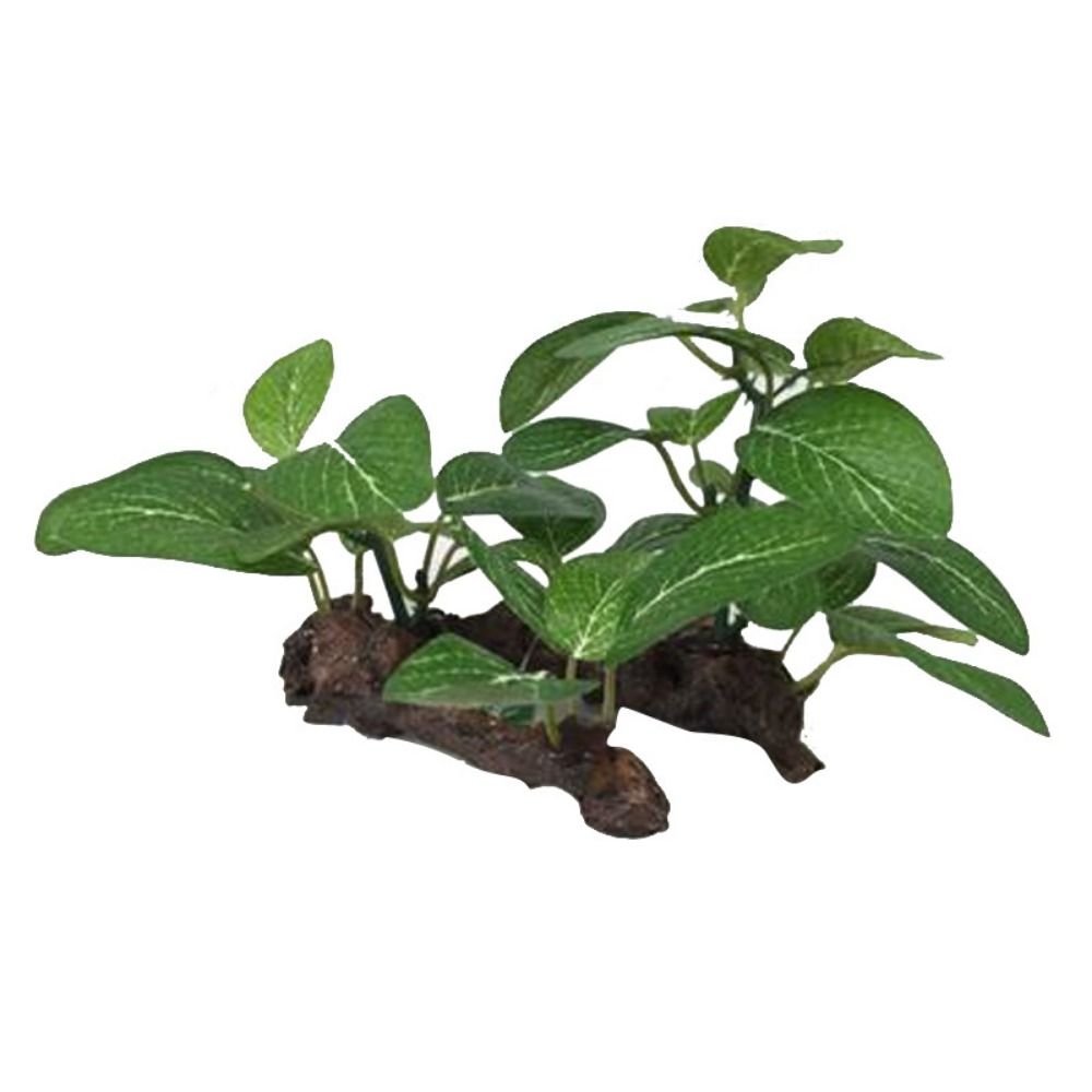 Planted Aquarium Jar - Plastique créatif pour la décoration d'aquarium,