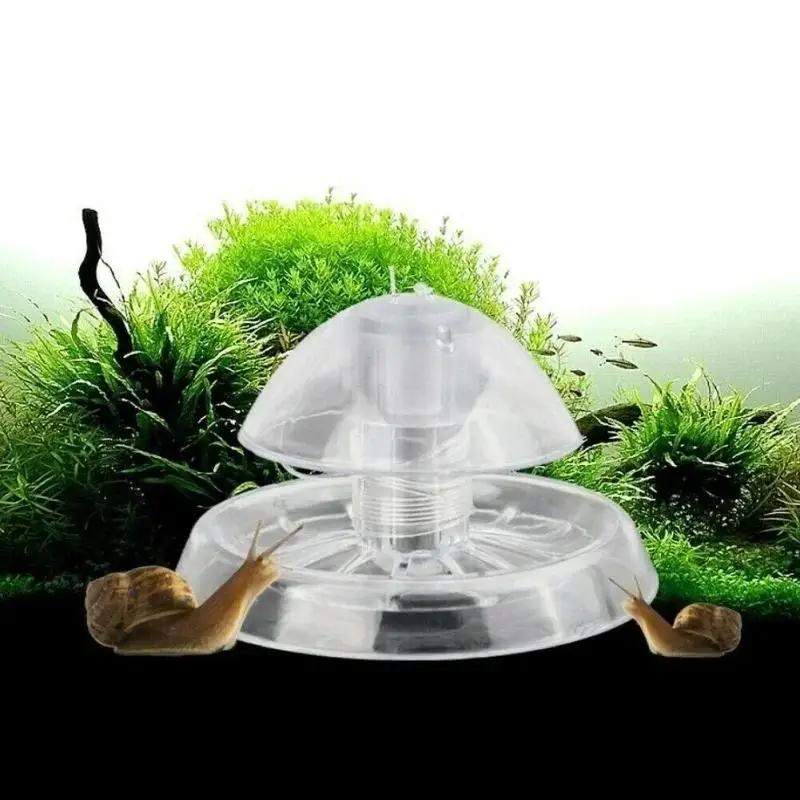 Aquarium For Planted Tank - Nouvelle boîte piège à escargots en