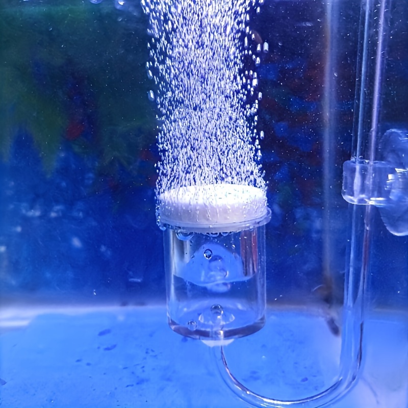 Planted Aquarium Co2 - Diffuseur d'atomiseur de CO2 en verre