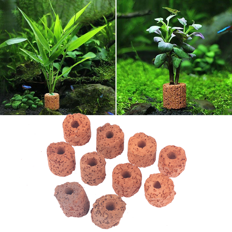 Aquarium Planted Tank Setup - Mini anneau pour plantes aquatiques, 10