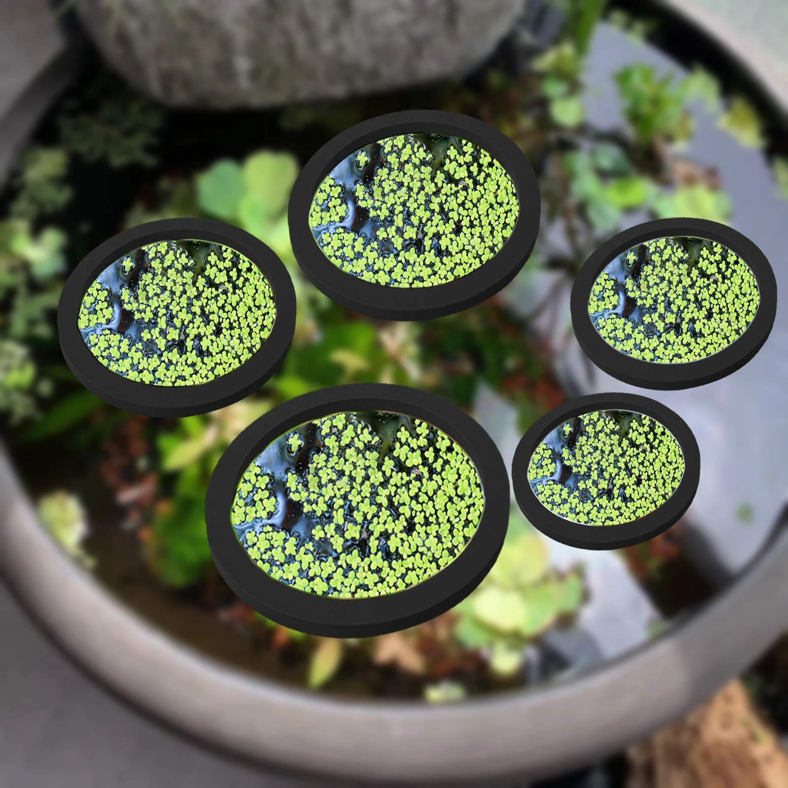 Aquarium For Planted Tank - Anneaux d'Alimentation pour Aquarium, Plante Flottante,