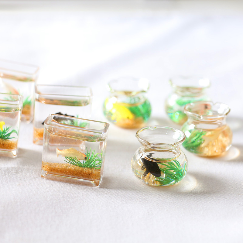 Planted Aquarium Photos - Mini maison de course en verre,