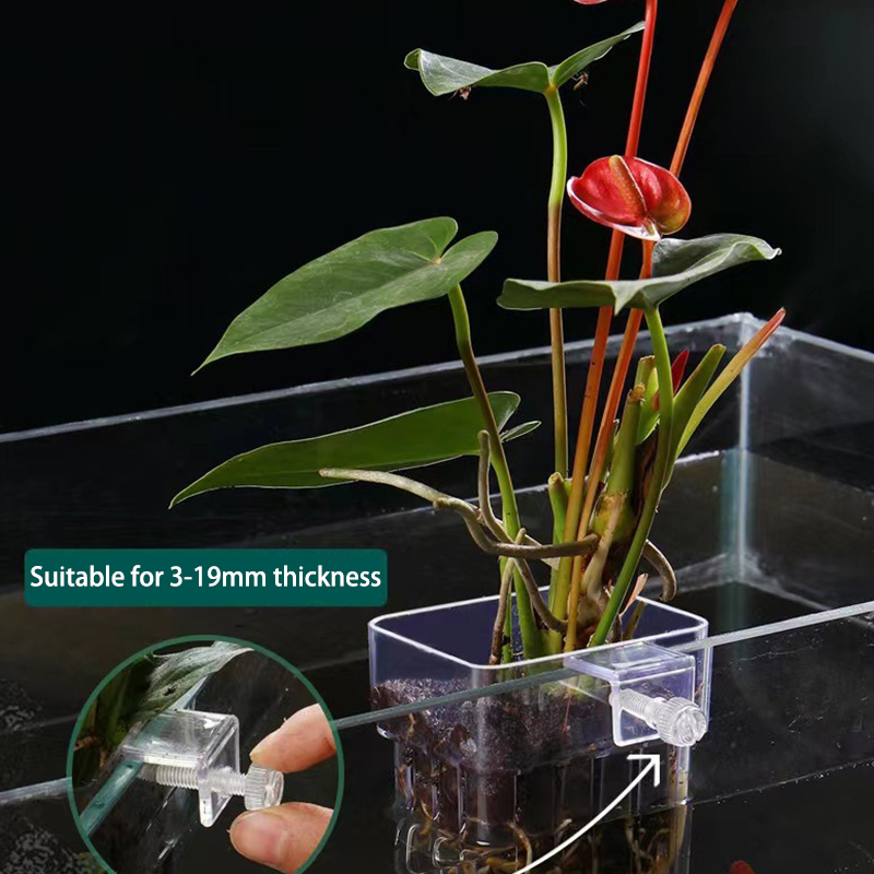 Aquarium For Planted Tank - Tasse de plantation d'eau d'aquarium de