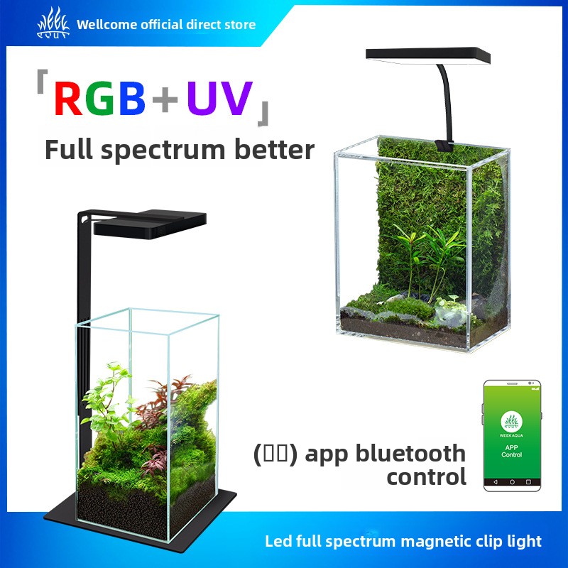 Planted Aquarium Jar - Semaine Aqua Mini9Pro pince magnétique LED
