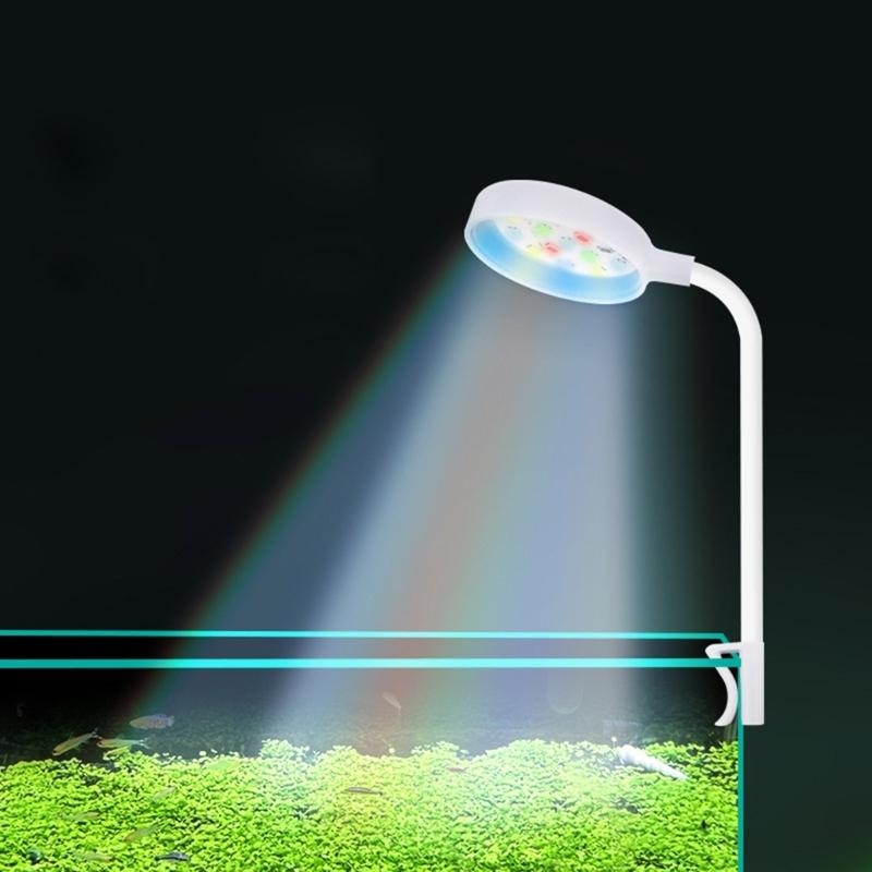 lumière Led pour petit Aquariu - Planted Aquarium Bowl avis et prix