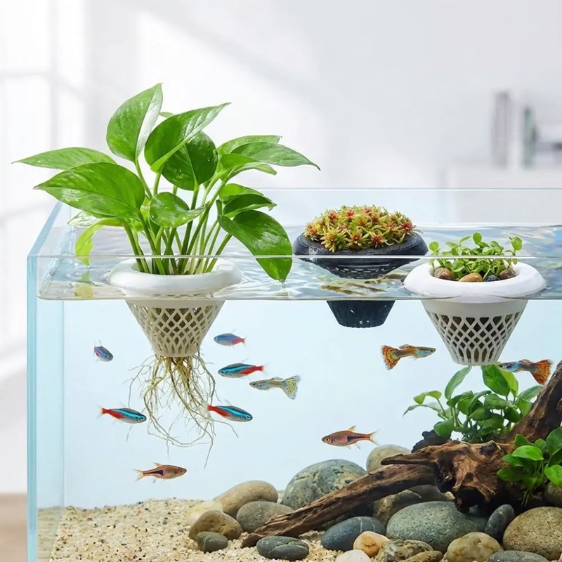 Pot de plante flottant pour aq - Planted Aquarium Jar avis et prix