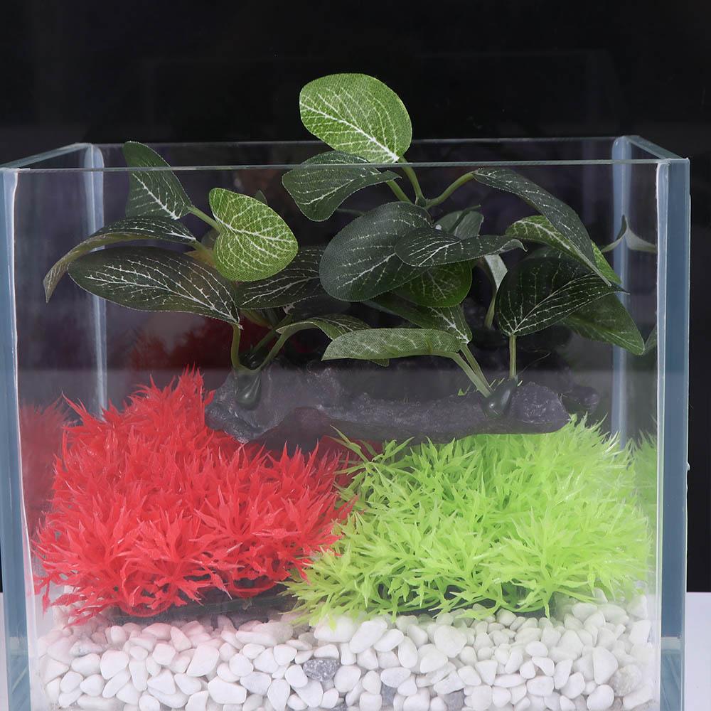 Plantes artificielles créative - Planted Aquarium Jar avis et prix