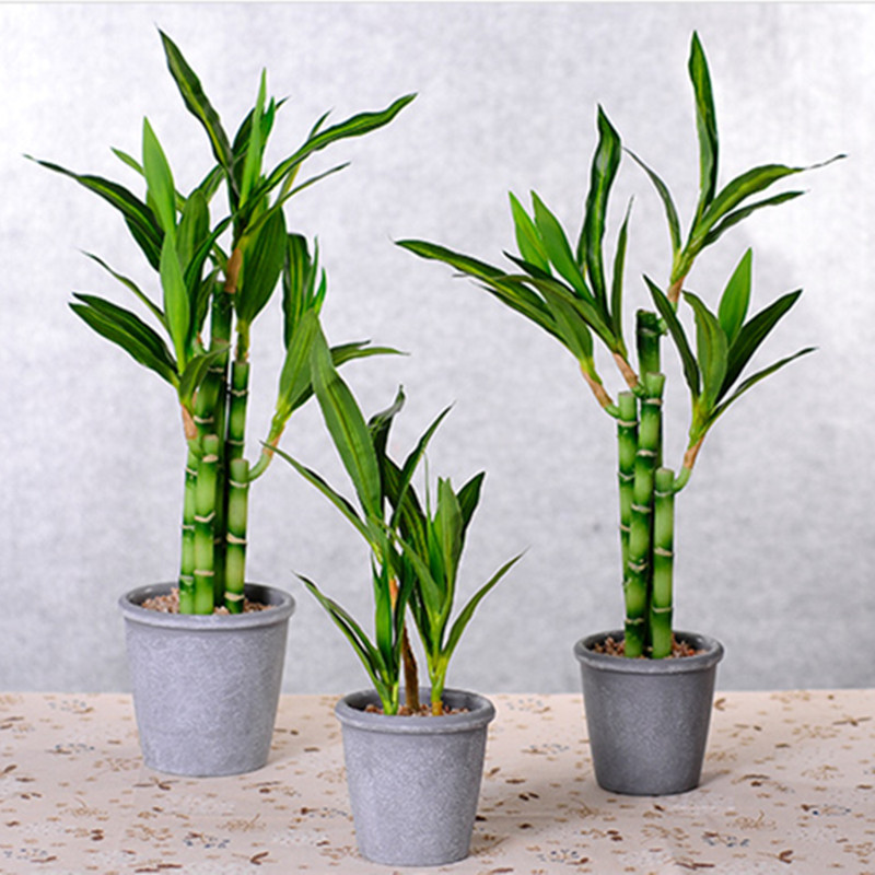Nouvelle plante artificielle B - Aquarium Plant Display avis et prix