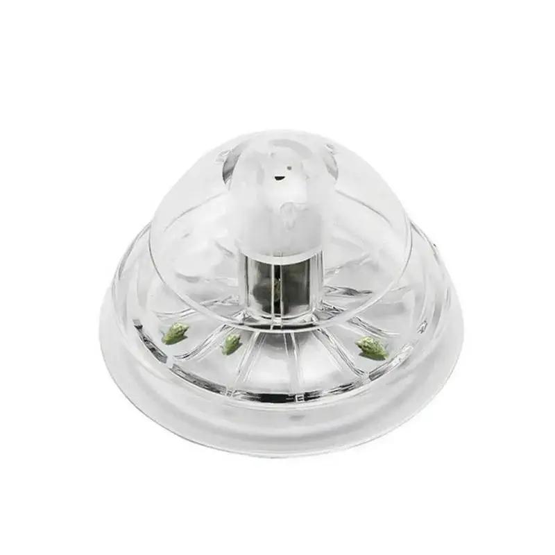 Nouvelle boîte piège à escargo - Aquarium For Planted Tank avis et prix
