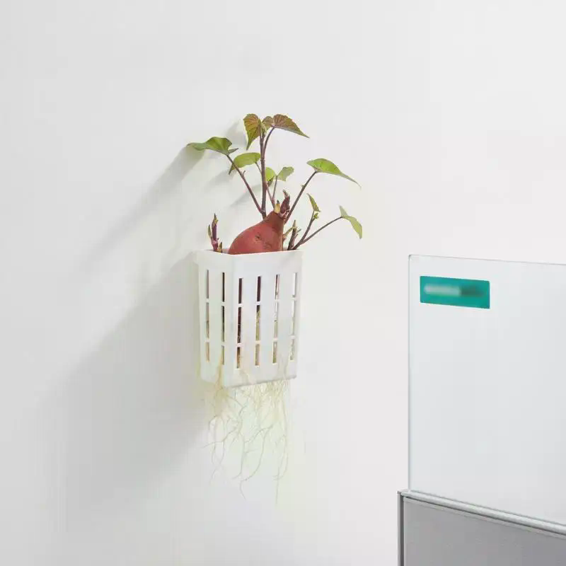 1 pièce Panier de support hydr - Aquarium For Planted Tank avis et prix