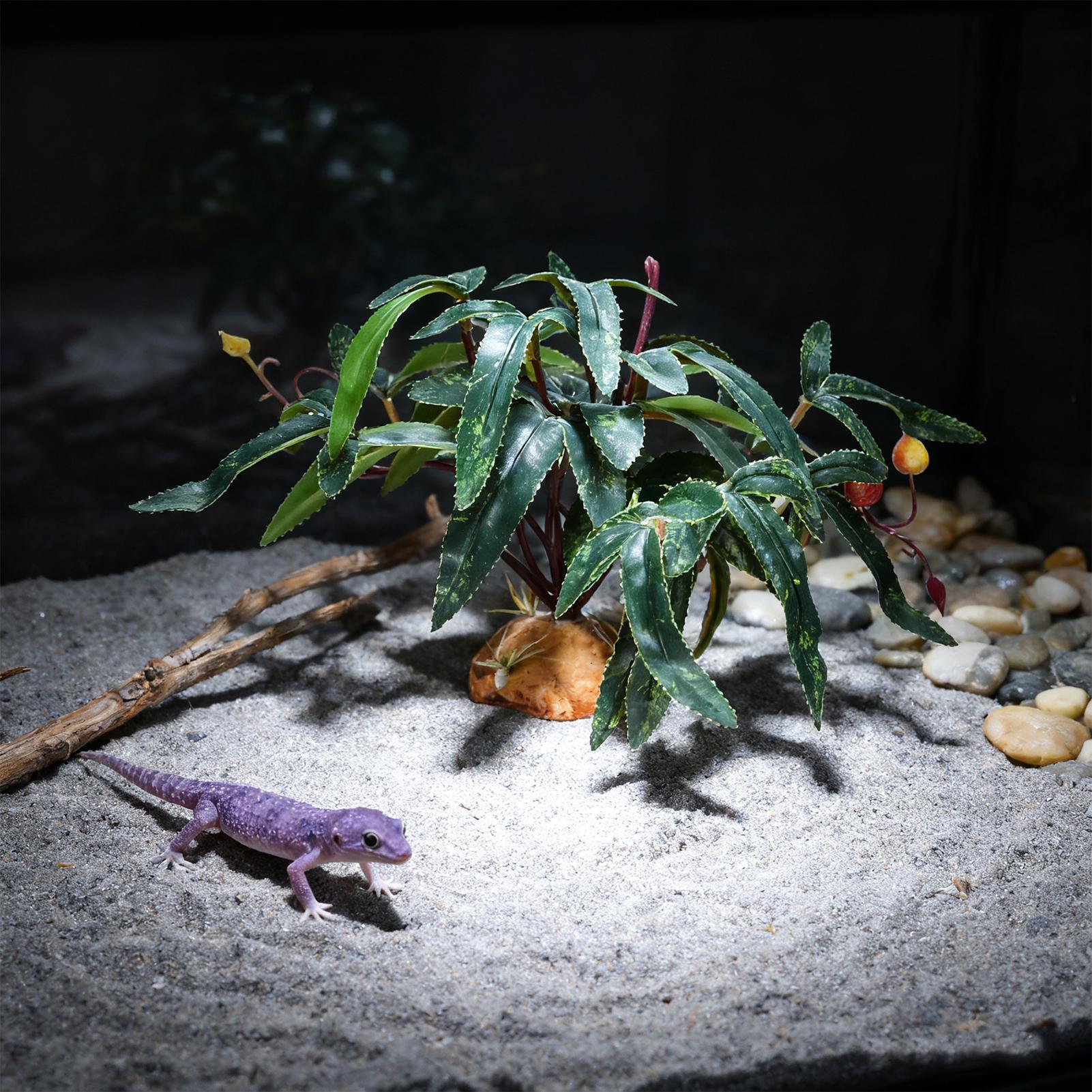 Plantes artificielles pour ter - Aquarium For Planted Tank avis et prix