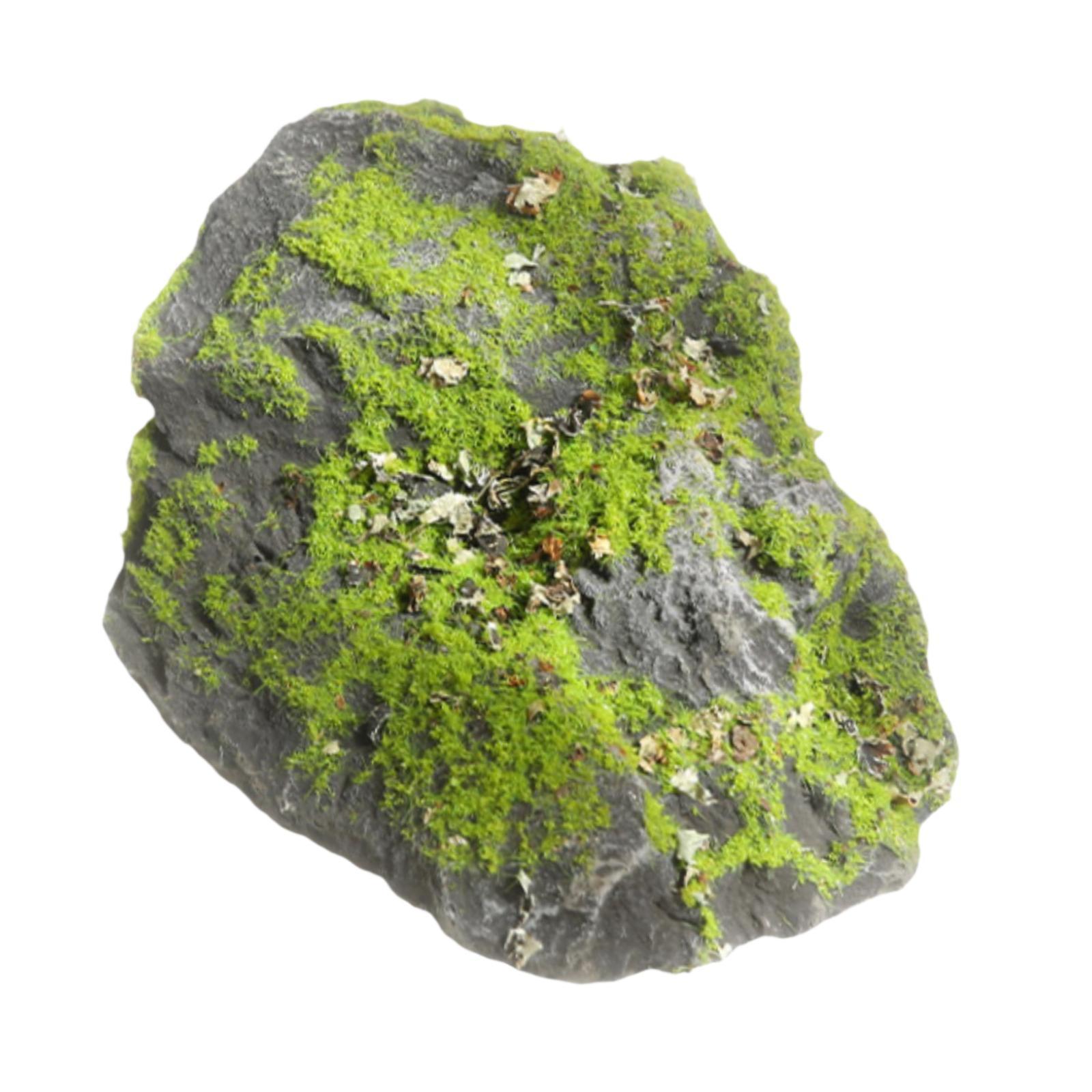 Fausse pierre de mousse réalis - Aquarium Plant Display avis et prix