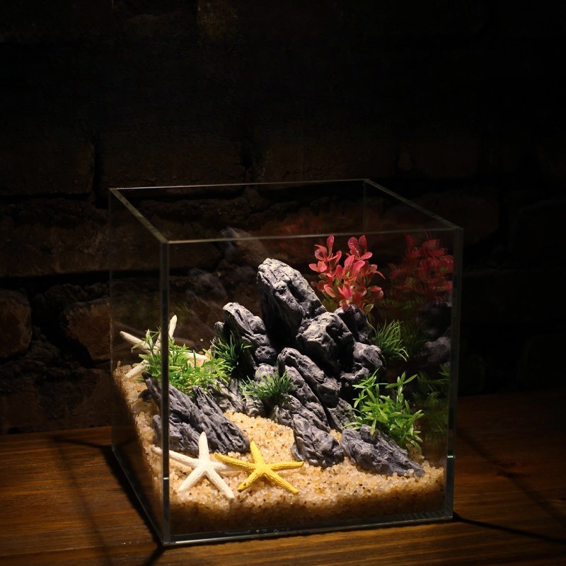 Décoration d'aquarium : Roche  - Aquarium Planted Tank Setup avis et prix