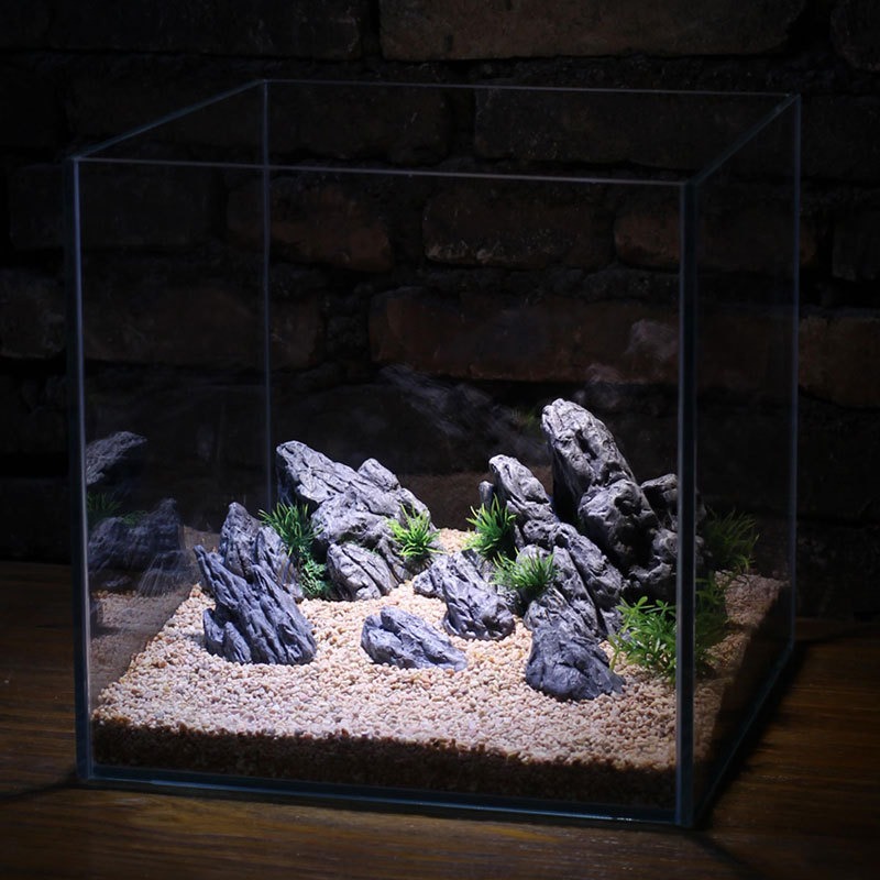 Décoration d'aquarium : Roche  - Aquarium Planted Tank Setup avis et prix