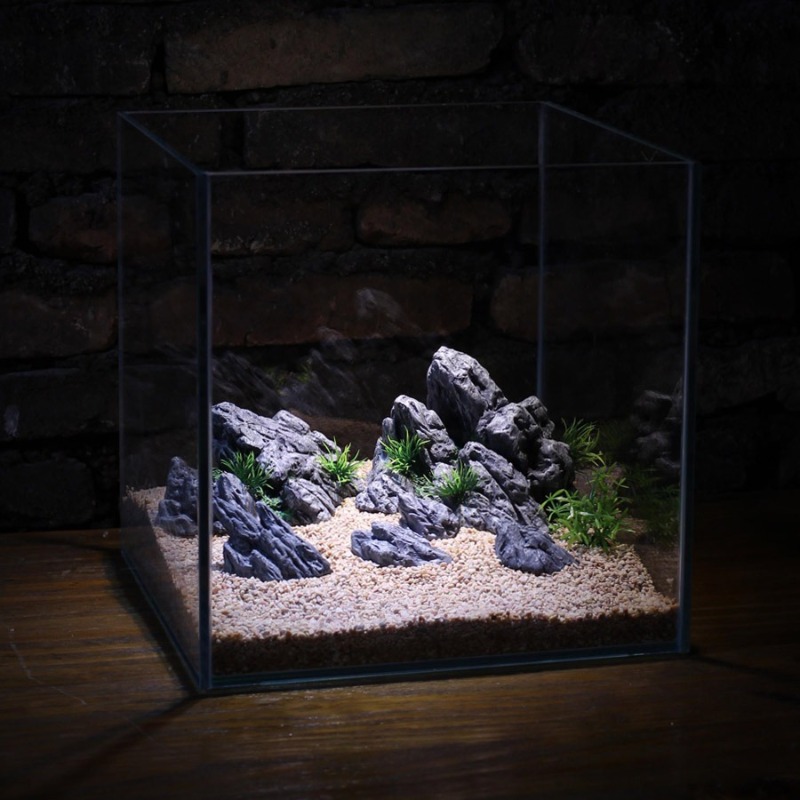 Décoration d'aquarium : Roche  - Aquarium Planted Tank Setup avis et prix