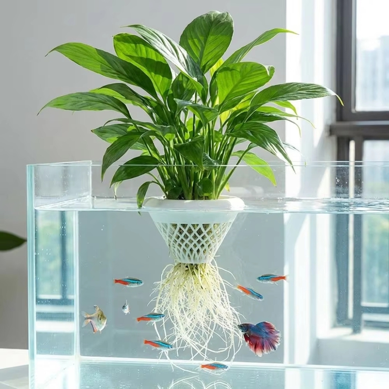 Pot de plante flottant pour aq - Planted Aquarium Jar avis et prix