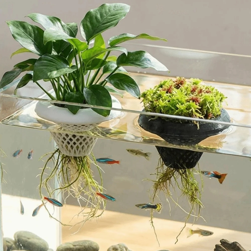 Pot de plante flottant pour aq - Planted Aquarium Jar avis et prix