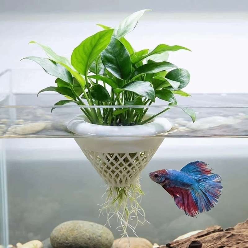 Pot de plante flottant pour aq - Planted Aquarium Jar avis et prix