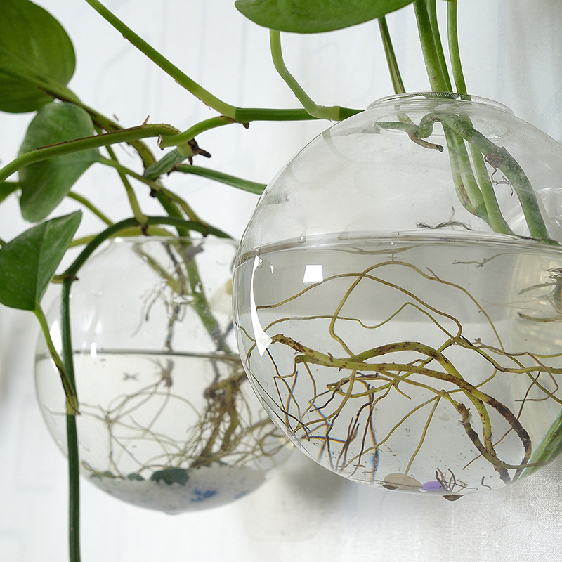 Bol à poisson mural en acryliq - Planted Aquarium Bowl avis et prix