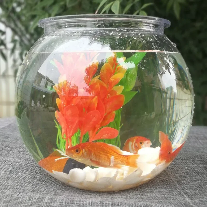 Aquarium de bureau transparent - Planted Aquarium Bowl avis et prix