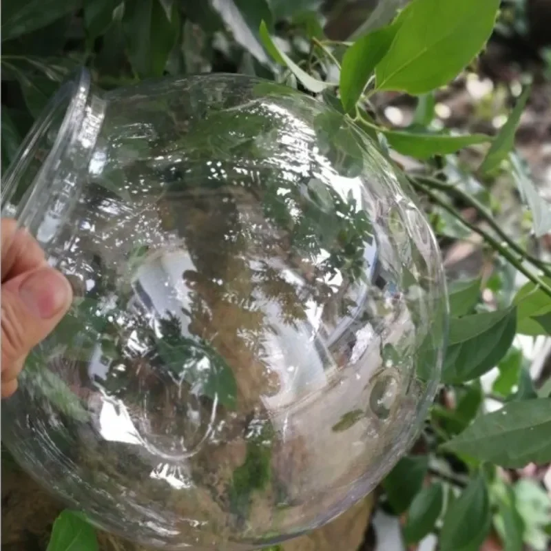 Aquarium de bureau transparent - Planted Aquarium Bowl avis et prix