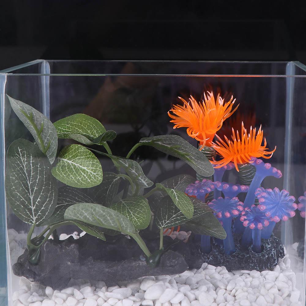 Plantes artificielles créative - Planted Aquarium Jar avis et prix