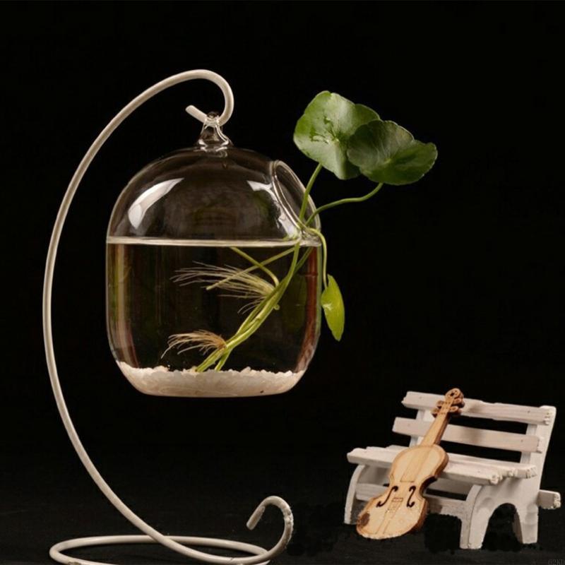 62kd Poisson en verre suspendu - Planted Aquarium Bowl avis et prix