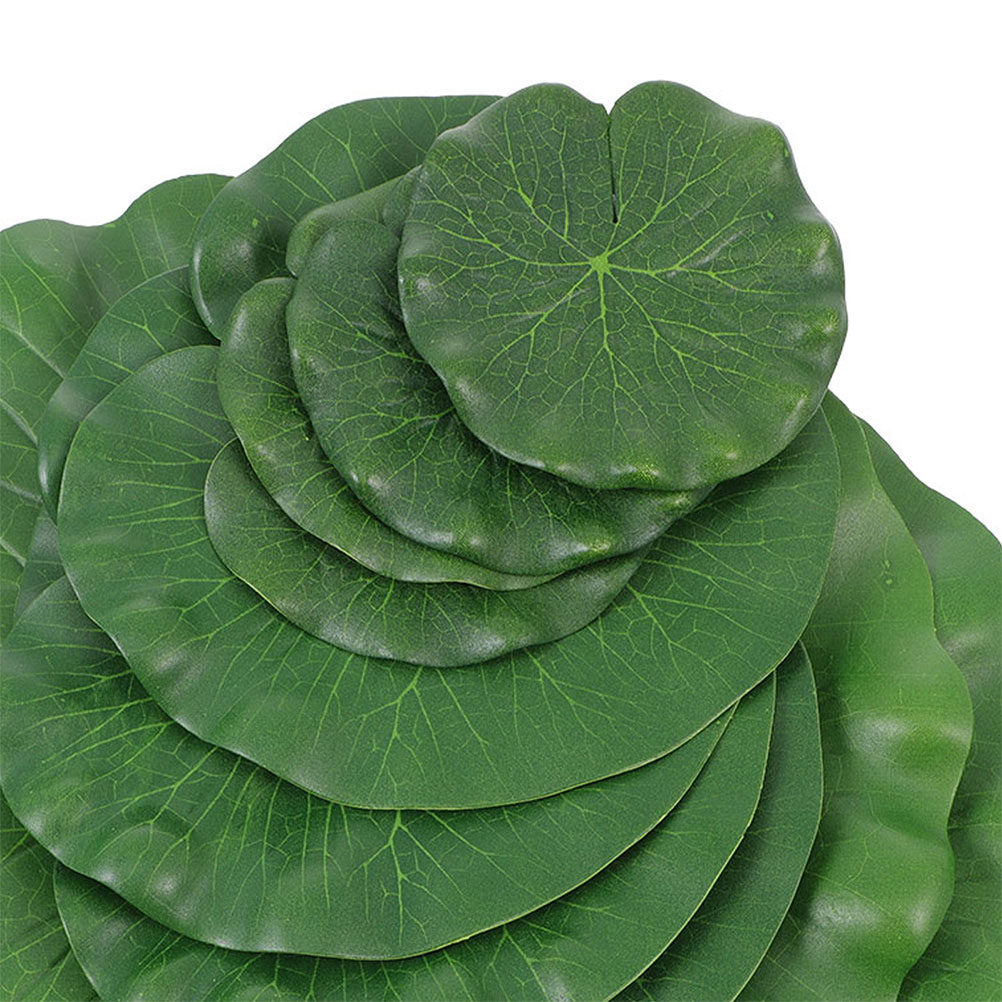 15 pièces de feuilles de nénup - Aquarium For Planted Tank avis et prix