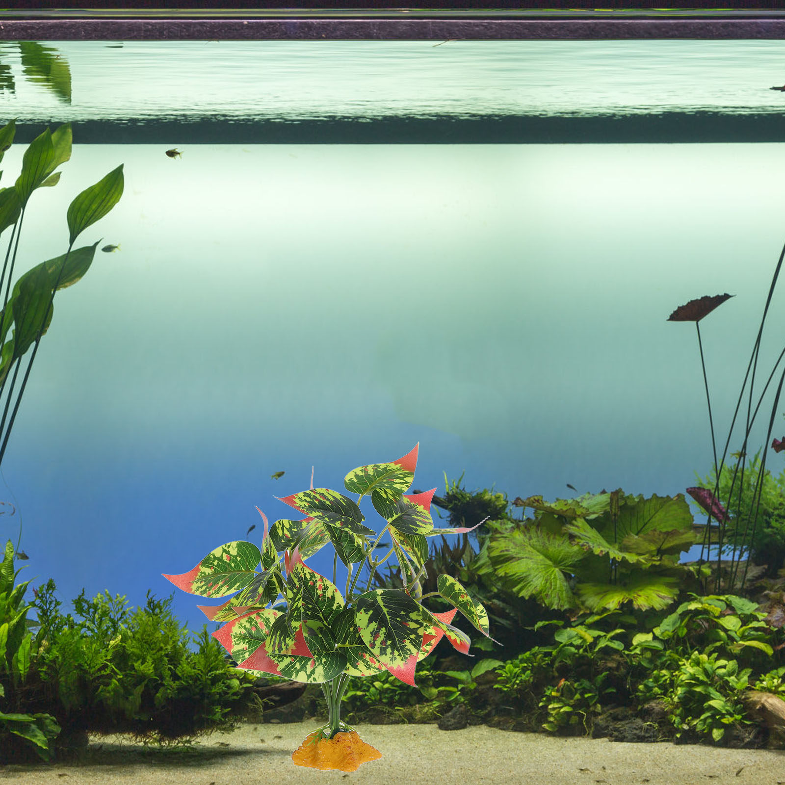 Plantes artificielles réaliste - Planted Aquarium Bowl avis et prix