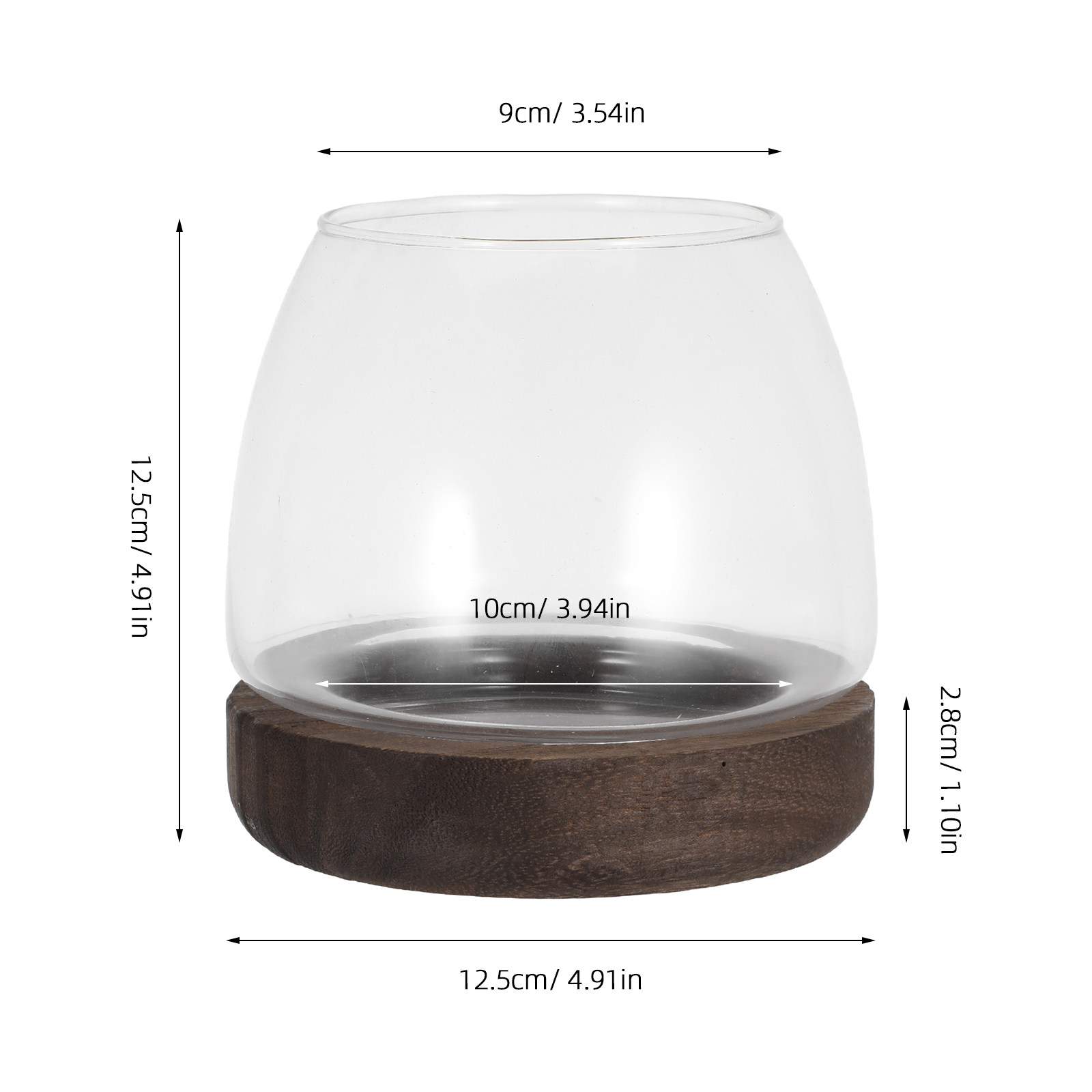 Terrarium hydroponique rond en - Planted Aquarium Jar avis et prix