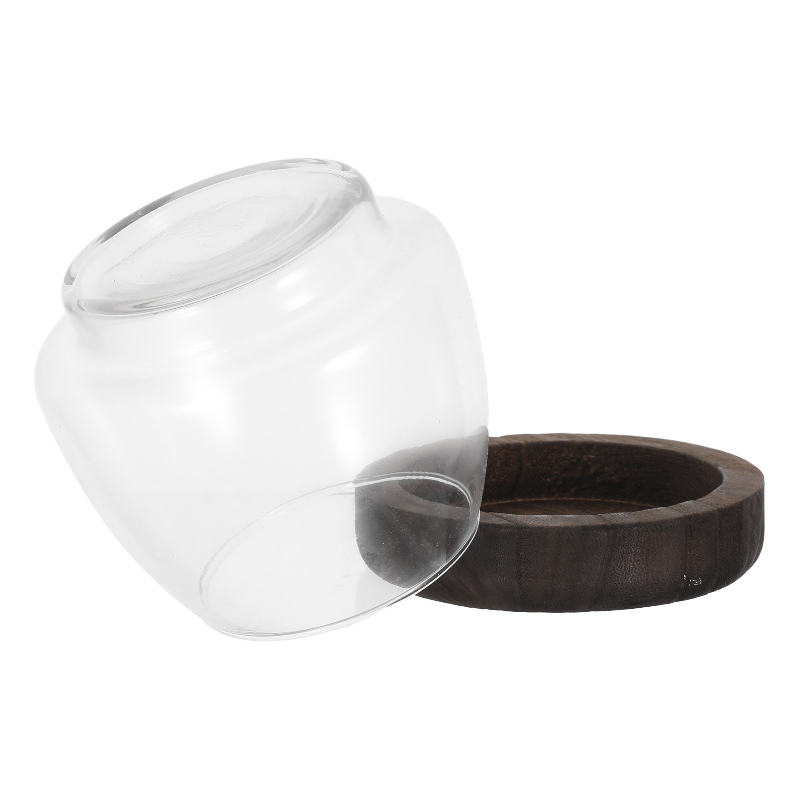 Terrarium hydroponique rond en - Planted Aquarium Jar avis et prix