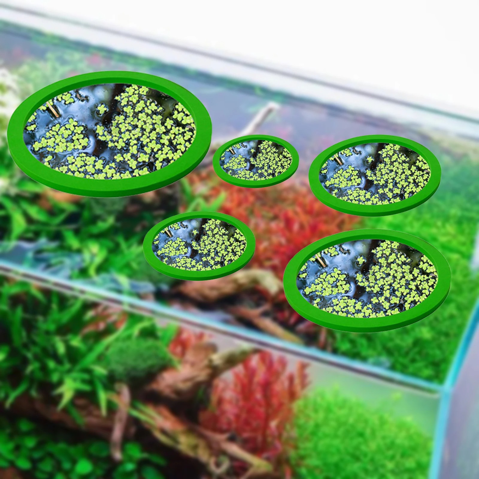 Anneaux d'Alimentation pour Aq - Aquarium For Planted Tank avis et prix