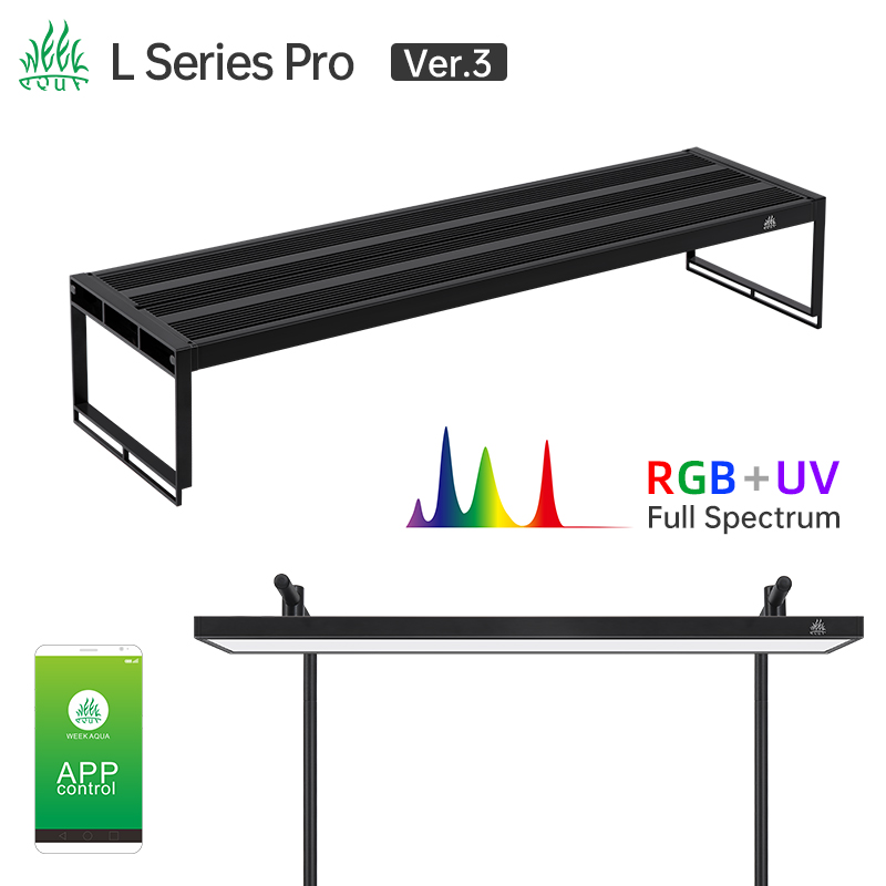 WEconvex-Variateur et minuteri - Aquarium Plant Display avis et prix