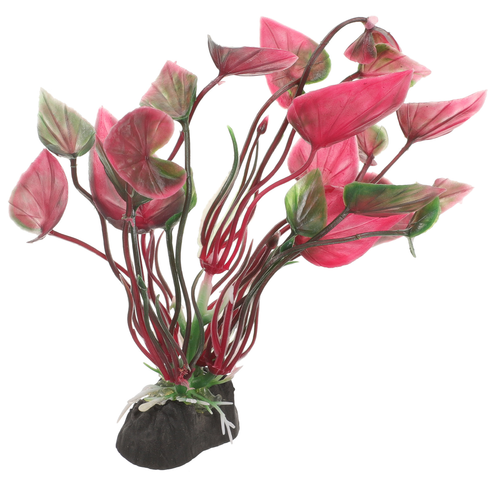 Plantes d'aquarium en plastiqu - Aquarium Planted Tank Setup avis et prix