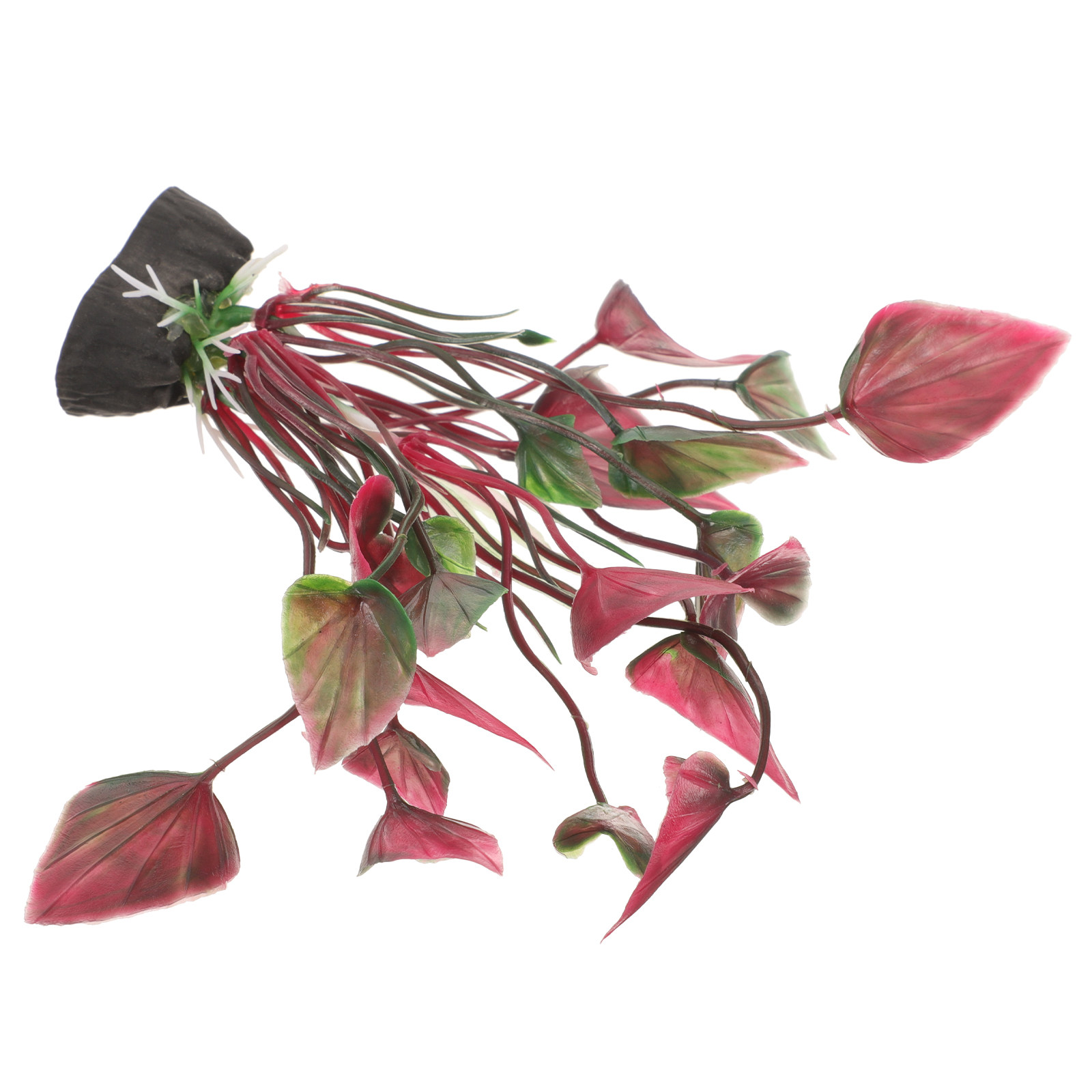 Plantes d'aquarium en plastiqu - Aquarium Planted Tank Setup avis et prix