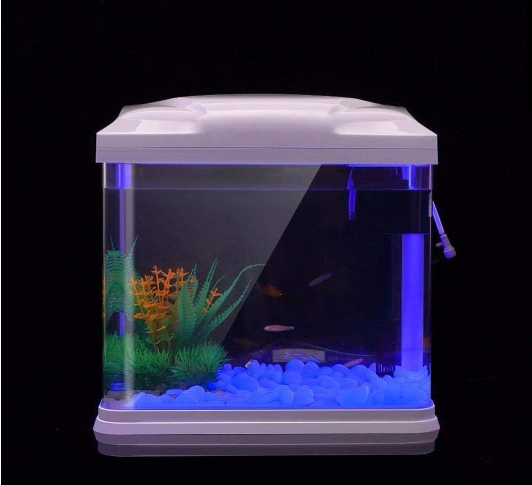 Roches d'aquarium scintillante - Aquarium For Planted Tank avis et prix