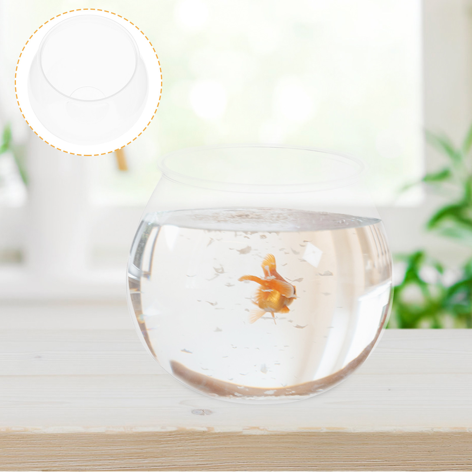 4 pièces de petits aquariums e - Planted Aquarium Bowl avis et prix