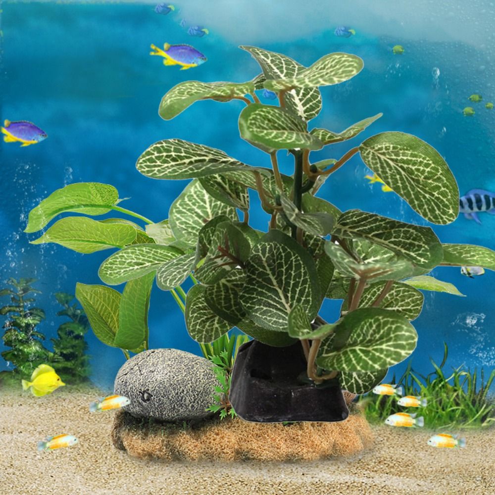 Soie plastique vert pour décor - Planted Aquarium Jar avis et prix