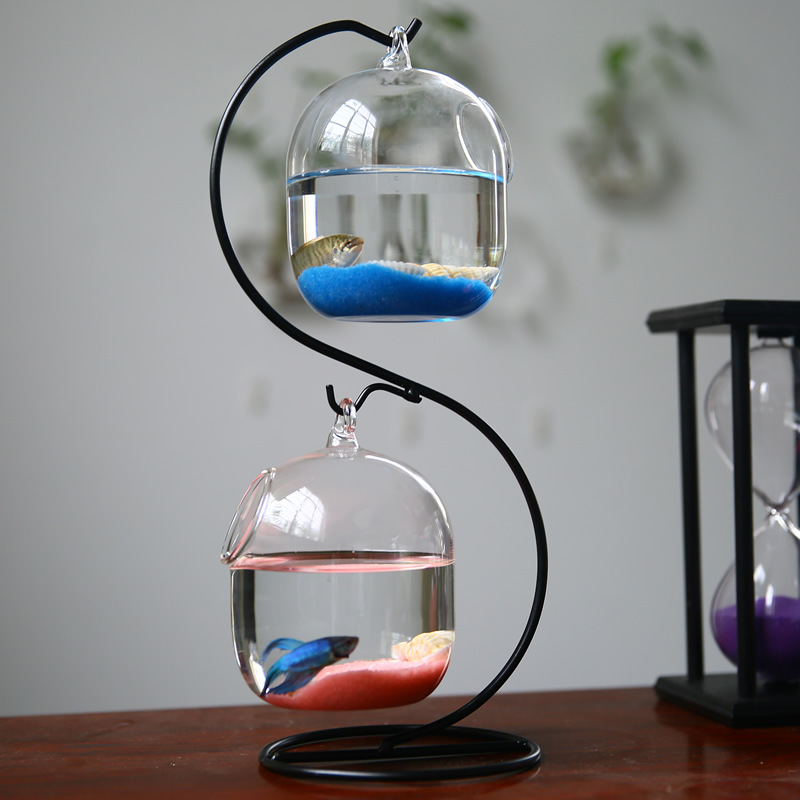 Bouteille d'Infusion Précieuse - Planted Aquarium Bowl avis et prix
