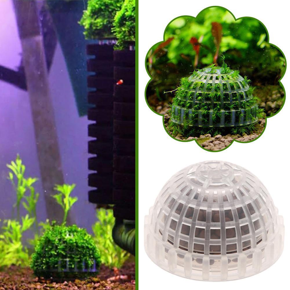 1-5 Pièces Plantes Décoratives - Aquarium Plant Red avis et prix