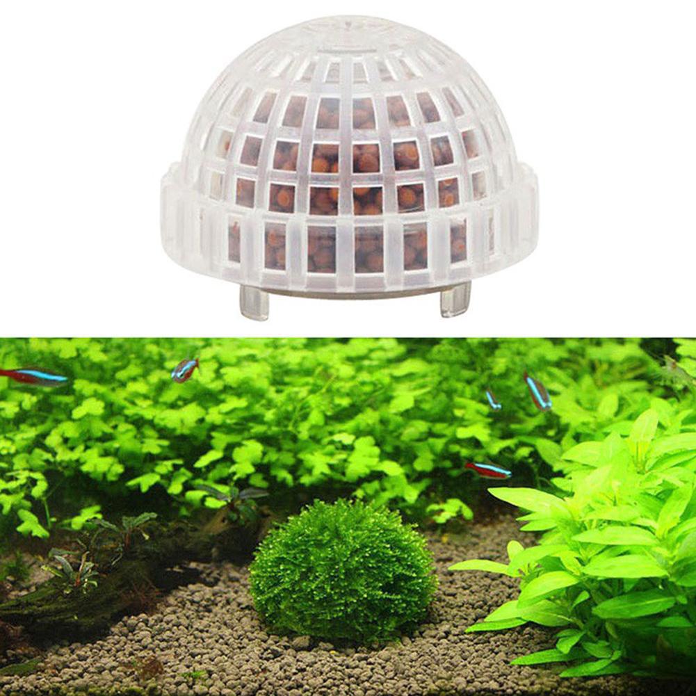 1-5 Pièces Plantes Décoratives - Aquarium Plant Red avis et prix
