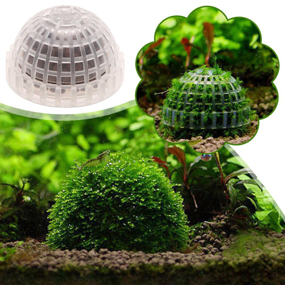 Support de boule de Bio mousse - Aquarium Plant Red avis et prix