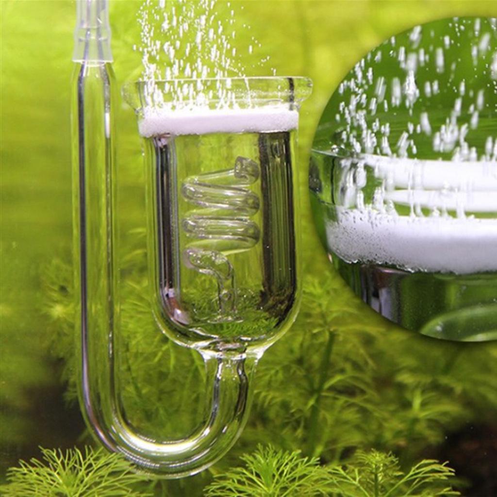 Diffuseur de CO2 en verre dura - Aquarium Planted Tank Setup avis et prix