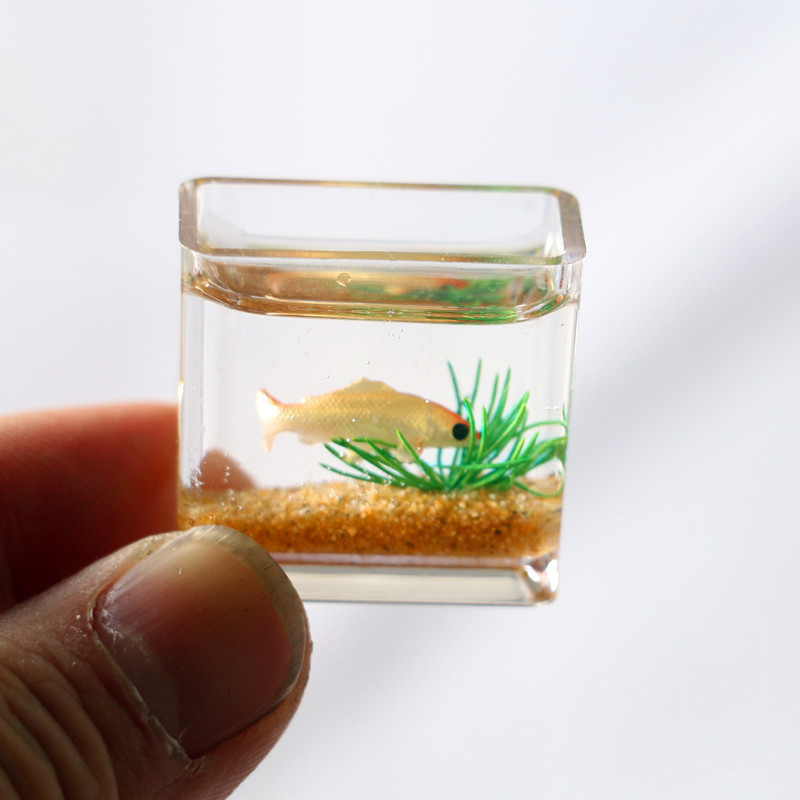 Mini maison de course en verre - Planted Aquarium Photos avis et prix