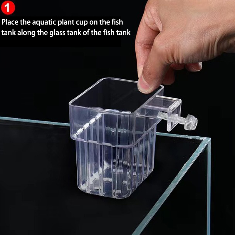 Tasse de plantation d'eau d'aq - Aquarium For Planted Tank avis et prix