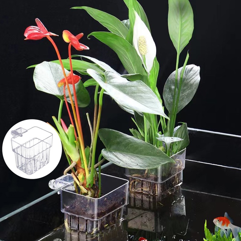 Tasse de plantation d'eau d'aq - Aquarium For Planted Tank avis et prix