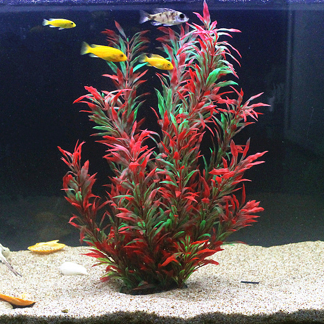 Plantes artificielles pour aqu - Aquarium For Planted Tank avis et prix