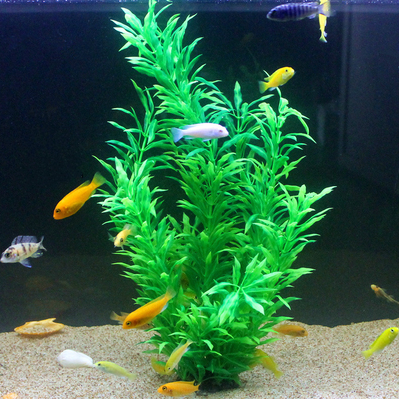 Plantes artificielles pour aqu - Aquarium For Planted Tank avis et prix