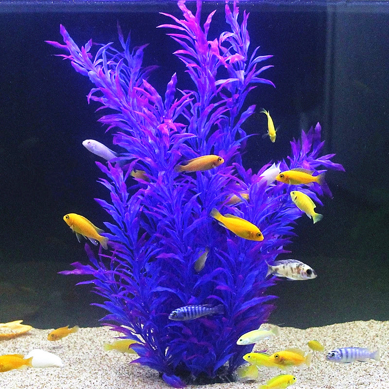Plantes artificielles pour aqu - Aquarium For Planted Tank avis et prix