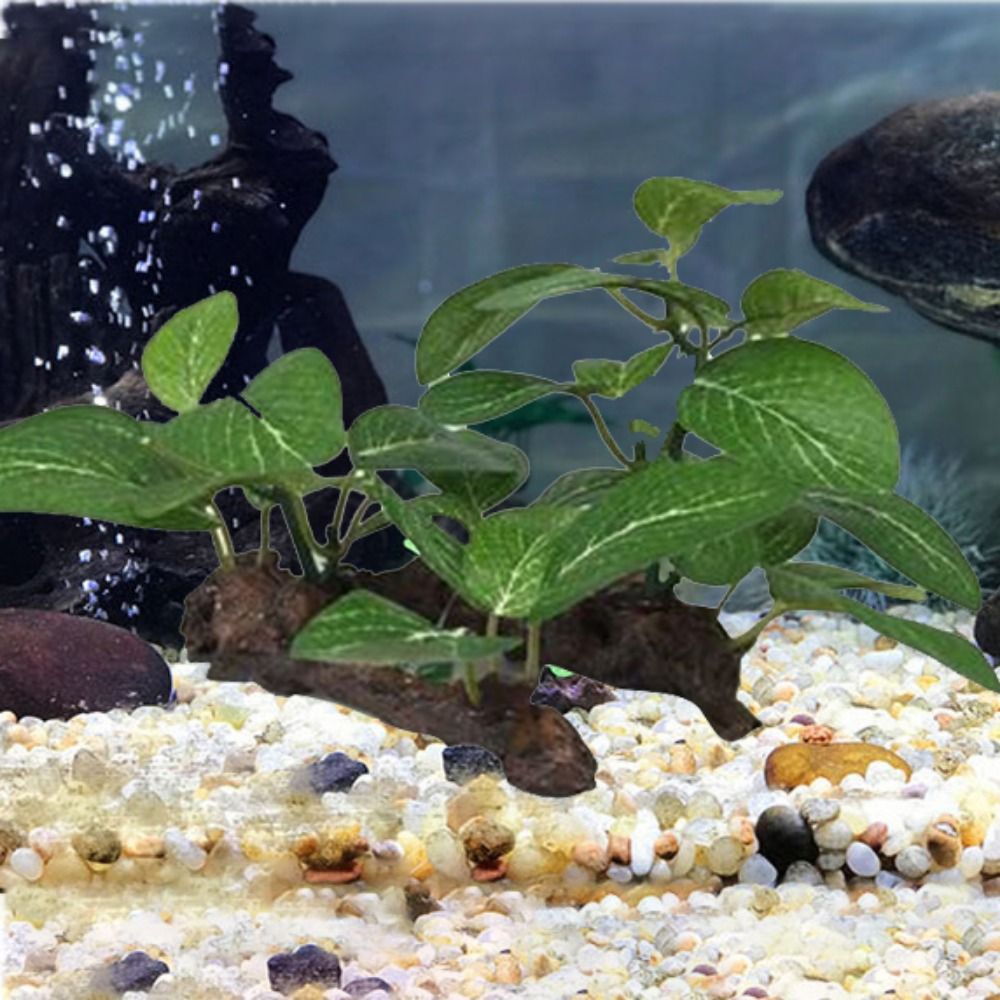 Plantes artificielles réaliste - Planted Aquarium Jar avis et prix